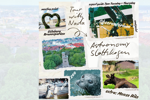Slottsskogen Easy Hike, Observatory, and Zoo Tour