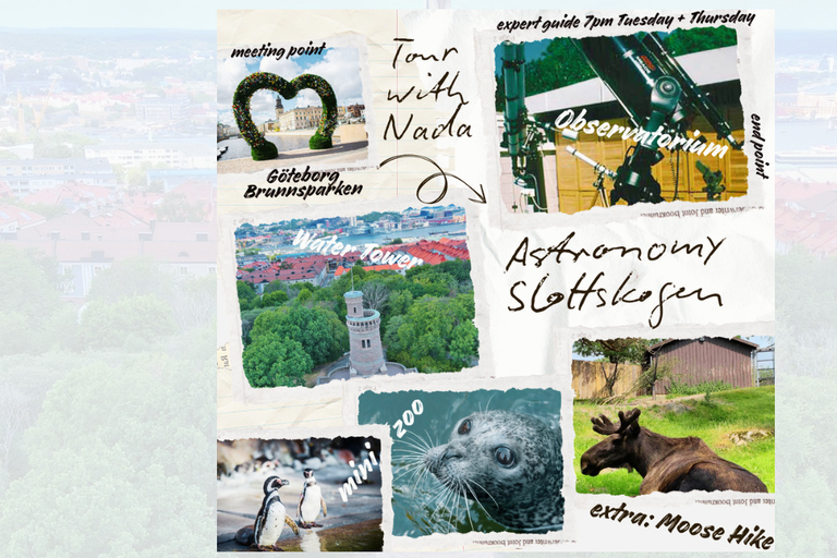 Slottsskogen Easy Hike, Observatory, and Zoo Tour
