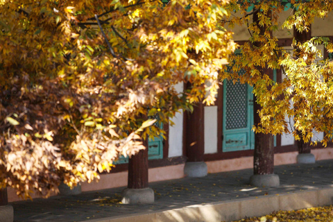 From Seoul: Jeonju Hanok Village & Jangtaesan Day Trip Hongik Univ. Station Exit 4