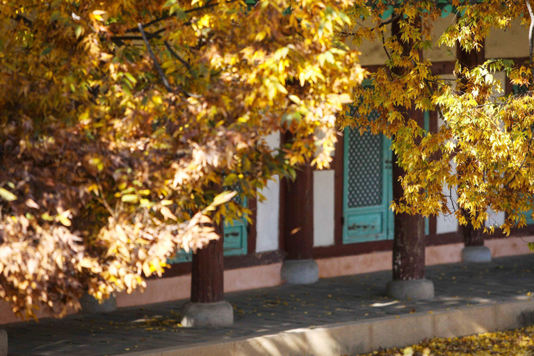 From Seoul: Jeonju Hanok Village & Jangtaesan Day Trip Hongik Univ. Station Exit 4