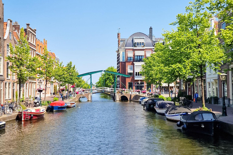 Amsterdam: Delft, Leiden, and Gouda Private Tour by locals