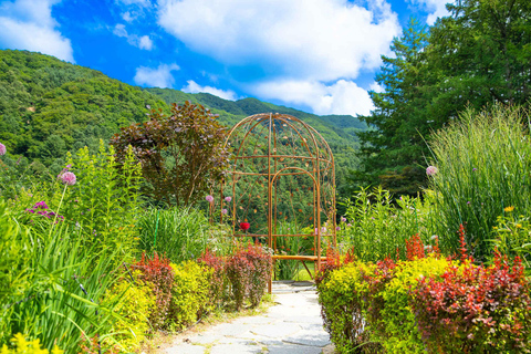 Gapyeong: Highlights Private Car Tour with English Driver Per vehicle(Group of 5-8pax)