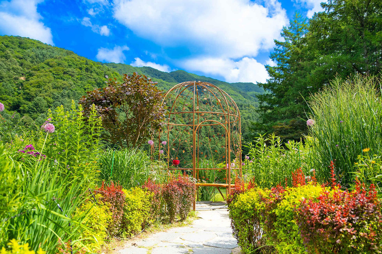 Gapyeong: Highlights Private Car Tour with English Driver Per vehicle(Group of 5-8pax)