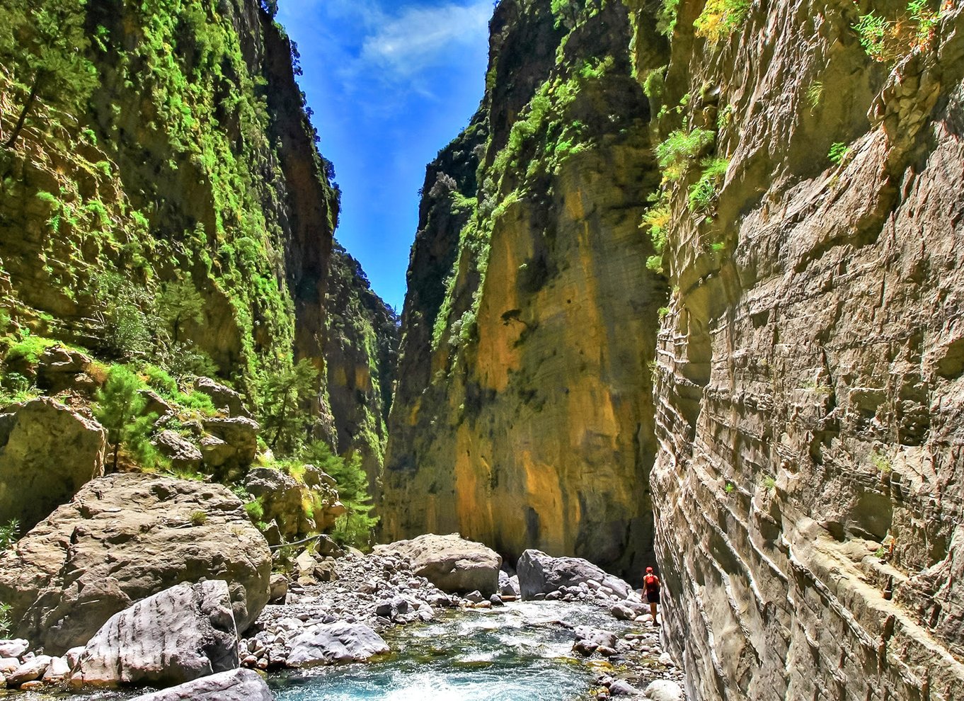 Fra Chania: Heldagsudflugt i Samaria-kløften med guide