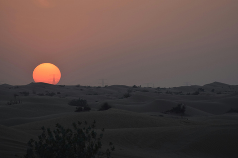 Under the Arabian Stars: Doha Night Desert Safari Adventure