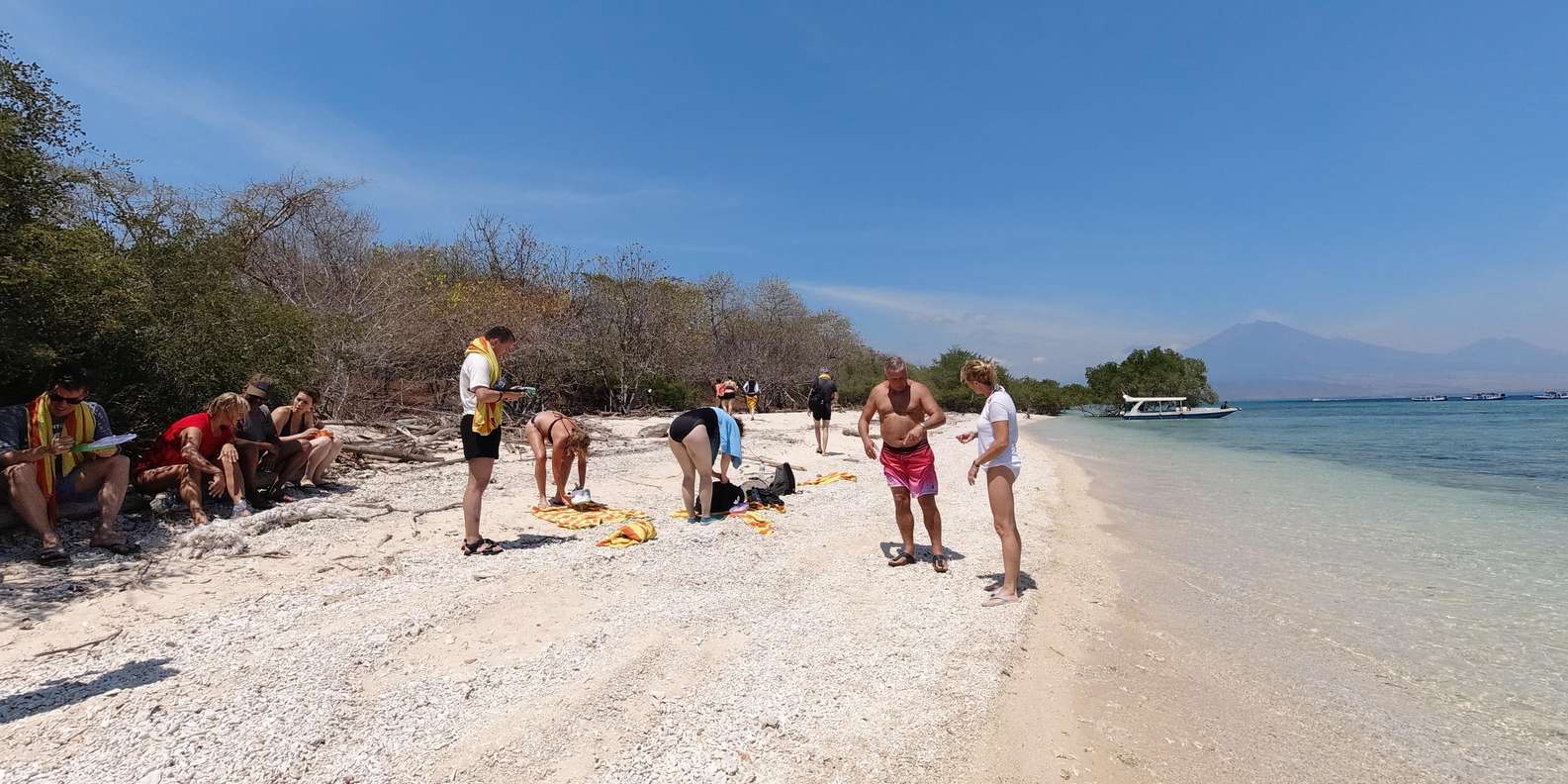 Basic Snorkeling Menjangan Island