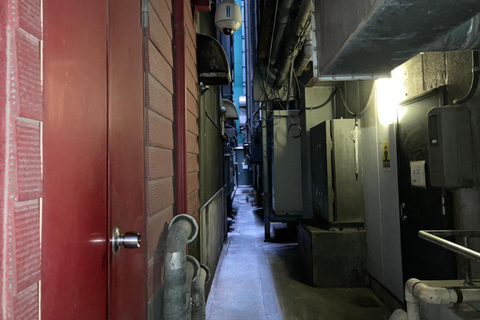 Tokio : Ginza Deep Back Alley Rundgang