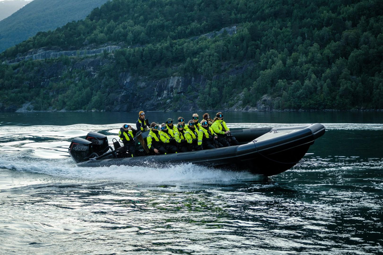 From Hellesylt: Experience Fjordsafari Geirangerfjord on RIB