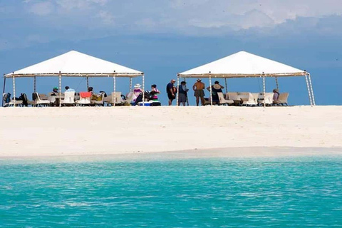 Tour in barca alla Prison Island e al banco di sabbia Nakupenda con pranzoServizio di prelievo in hotel e rientro con pranzo incluso