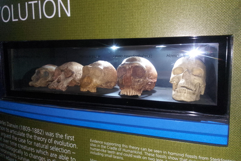 Johannesburg: Cradle of Humankind Guided Tour with Pickup Gradle of humankind Half day tour