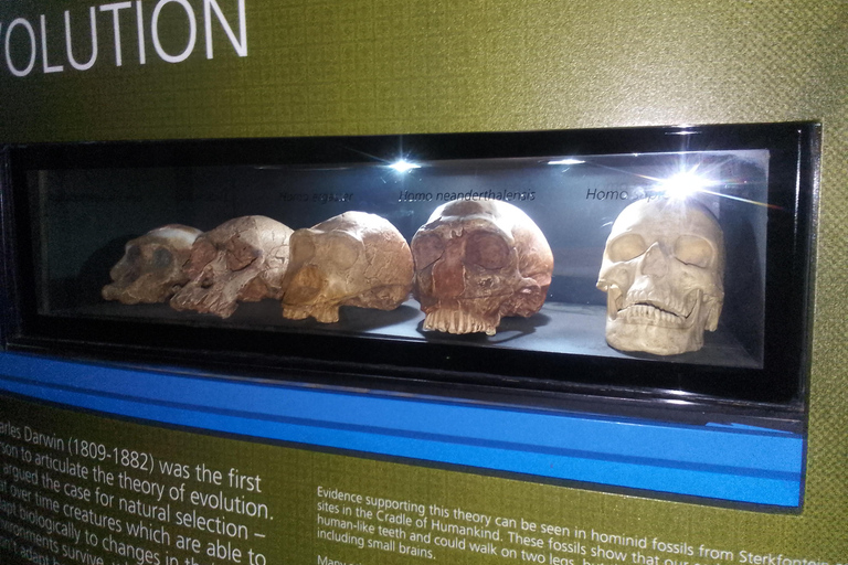 Johannesburg: Cradle of Humankind Guided Tour with Pickup Gradle of humankind Half day tour