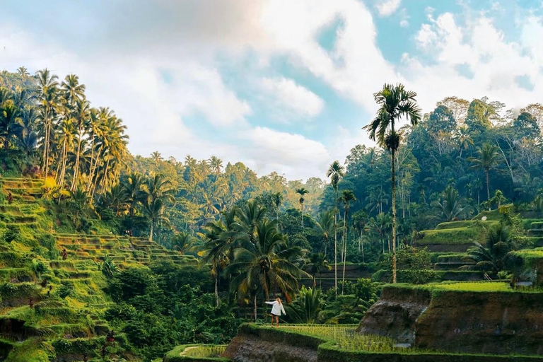 巴厘岛：隐秘的乌布寺庙、梯田和丛林秋千