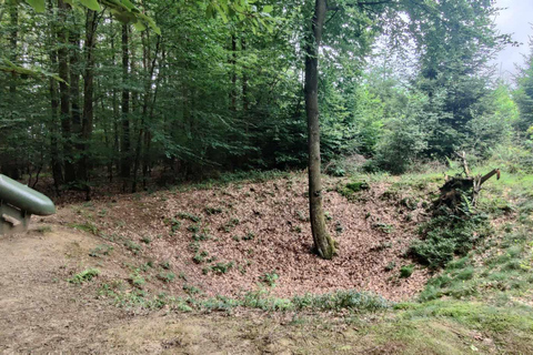 Desde París: Excursión de un día a la Batalla de las Ardenas