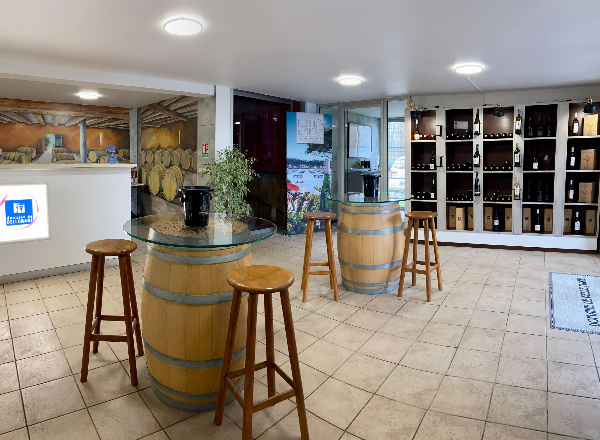 Mèze: Führung durch das Weingut & Weinverkostung
