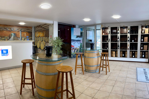 Visite guidée du Domaine &amp; Dégustation de vins