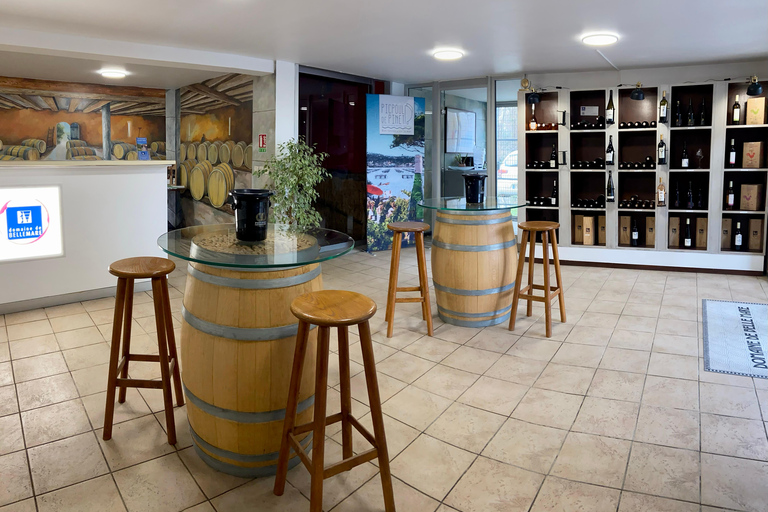 Visite guidée du Domaine &amp; Dégustation de vins