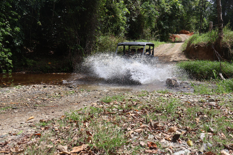 Daintree waters tour, all terrain vehicles and light lunch.