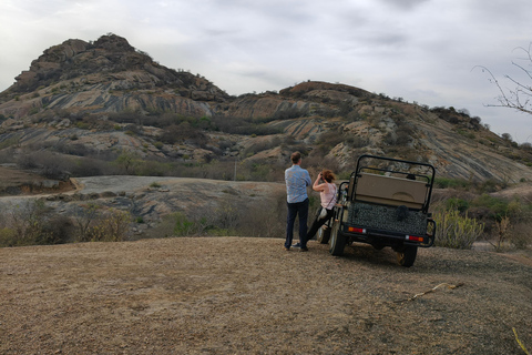 Jodhpur To Udaipur: Ranakpur Temple & Jawai Leopard Safari