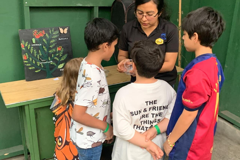 Boquete Butterfly House: Panama's Largest Butterfly Exhibit
