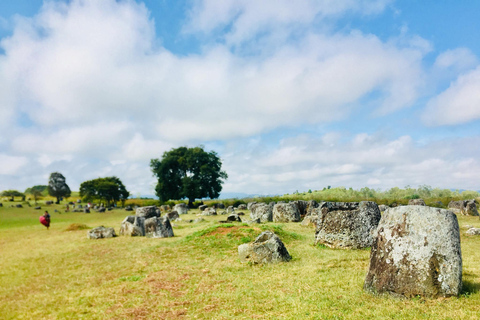 From Vang Vieng: Plain of Jars Day Trip