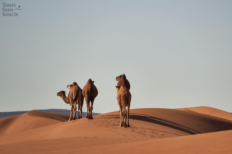 From Djerba: Star Wars and Sunset in the Tataouine Desert