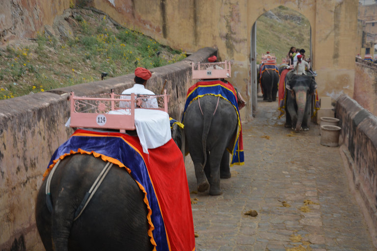 Jaipur: Amber Fort, Stadtpalast und Hawa Mahal Tagestour