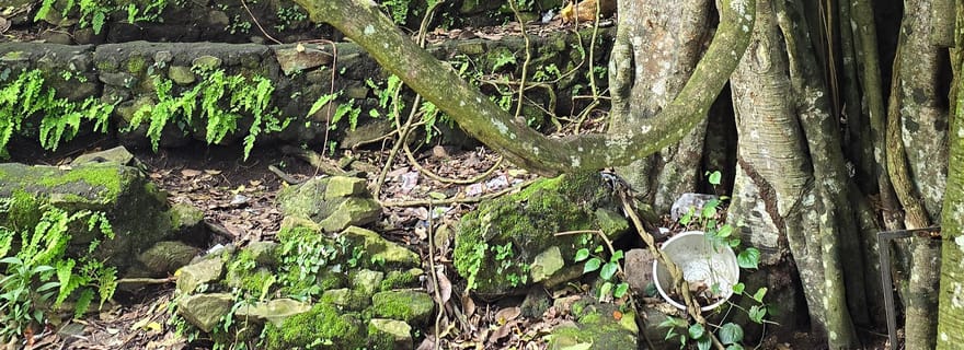 Kintamani : visite du cimetière du village de Trunyan