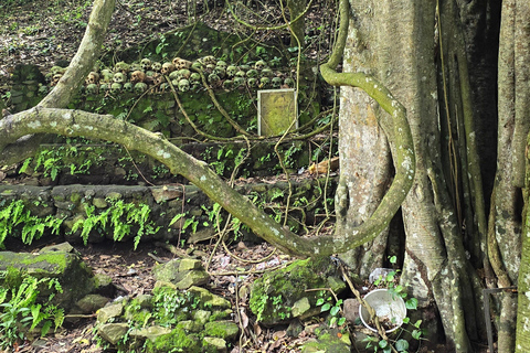 Kintamani: Trunyan Village Cemetery Tour Exploring Trunyan Cemetery tour without Transfers