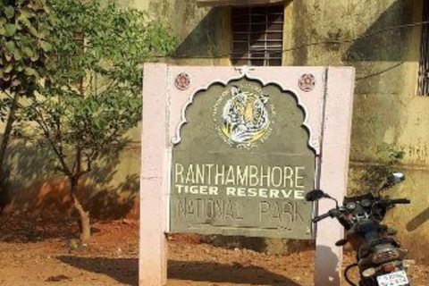 From Delhi: Ranthambore Wildlife Safari Tour with Transfers