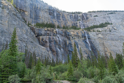 Jasper: Columbia Icefield Tour Skywalk, glaciär och sjöar