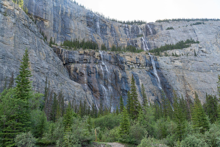 Jasper: Columbia Icefield Tour Skywalk, glaciär och sjöar