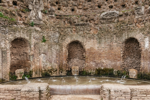 Coliseo, Foro Romano y monte Palatino: tour sin colasColiseo (arena central), Foro y mte. Palatino: tour inglés