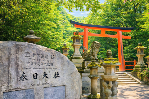 Kyoto: Private City Highlights Tour (Local Guide 6-Hour)