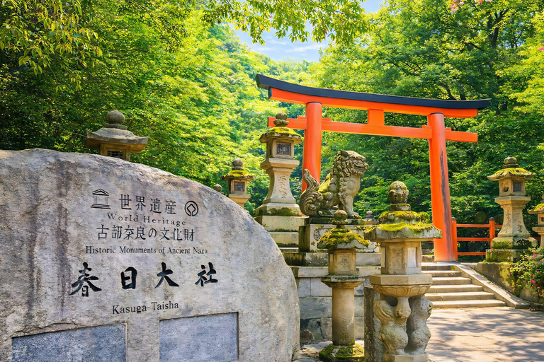Kyoto: Private City Highlights Tour (Local Guide 6-Hour)