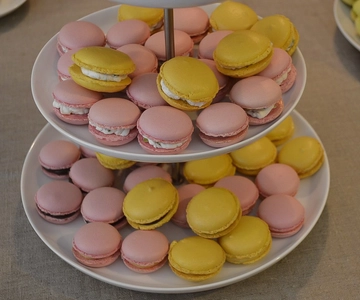 Paris: Macarons Class, Teatime and To-Go Box