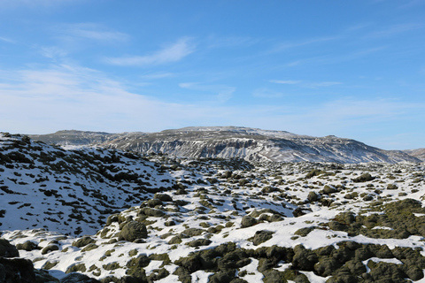 Excursión invernal de 2 días a la costa sur de Islandia