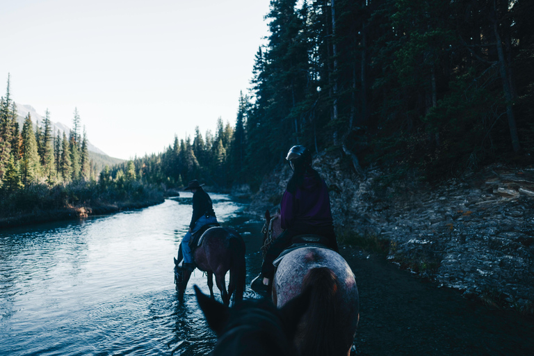 Lake Tegernsee: Relaxing Horseback Riding Tour