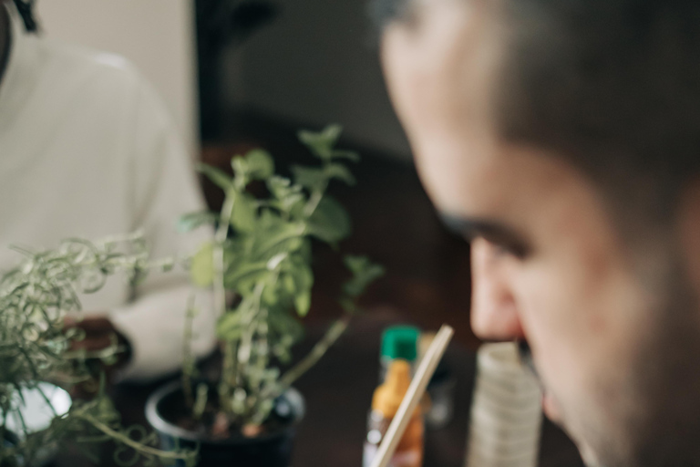 Herbal Ritual in a Hidden São Paulo Plant Studio