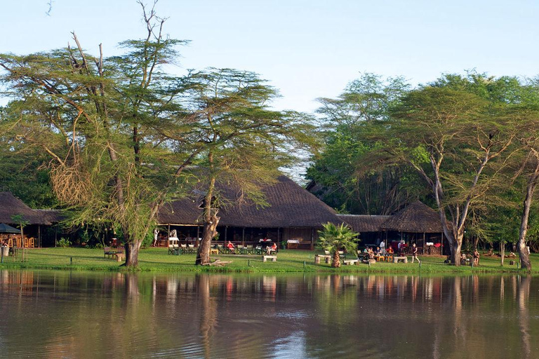 From Diani: 2-Day Ziwani Sanctuary Safari with Camp Stay