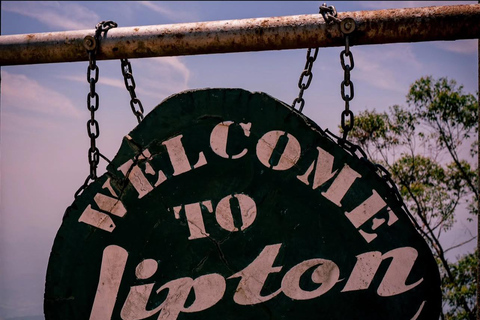 Kandy to Lipton’s Seat & Ella & Tea Factory – Day Tour