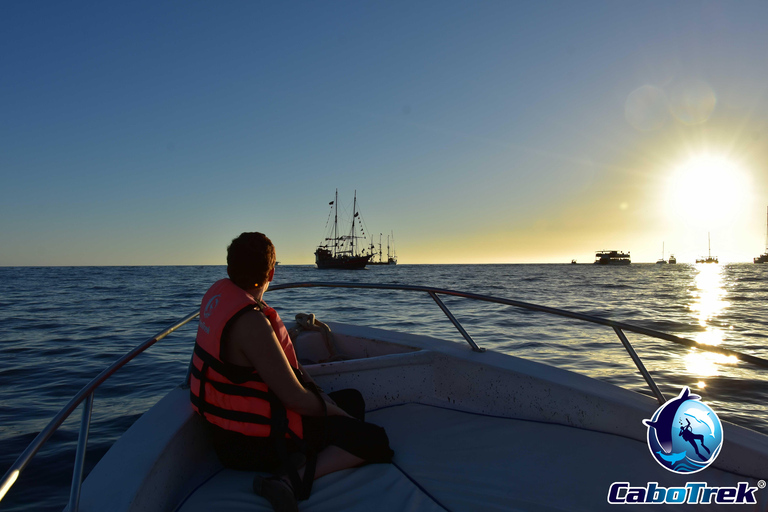 Sunset Whale Watching Cruise in Cabo San Lucas