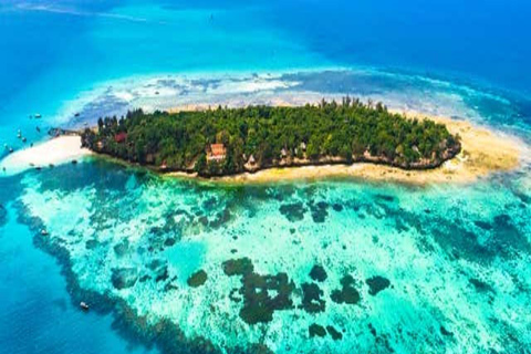 Zanzibar:⭐️Prison Island Guided Tour Meet giant Turtles⭐️ drop-off & pick up from anywhere (entrance fee not included)