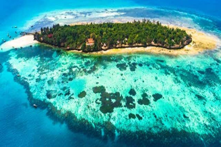 Zanzibar:⭐️Prison Island Guided Tour Meet giant Turtles⭐️ drop-off & pick up from anywhere (entrance fee not included)