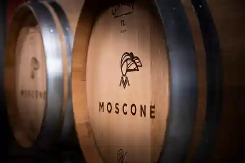 Il Dosman: Degustazione di vini a La Morra