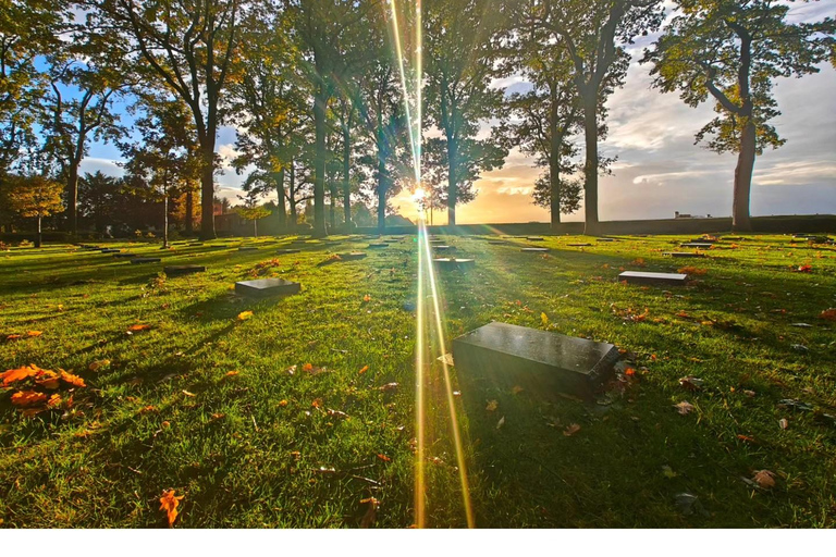 In Flanders Fields: Full-Day Ypres Battlefield Experience