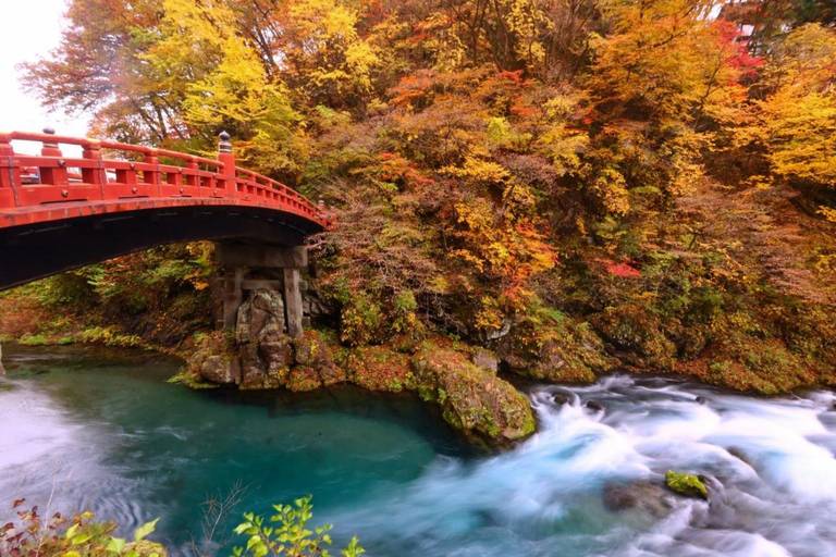 Tokio: Nikko – Private &amp; anpassbare Sightseeing-Tagestour