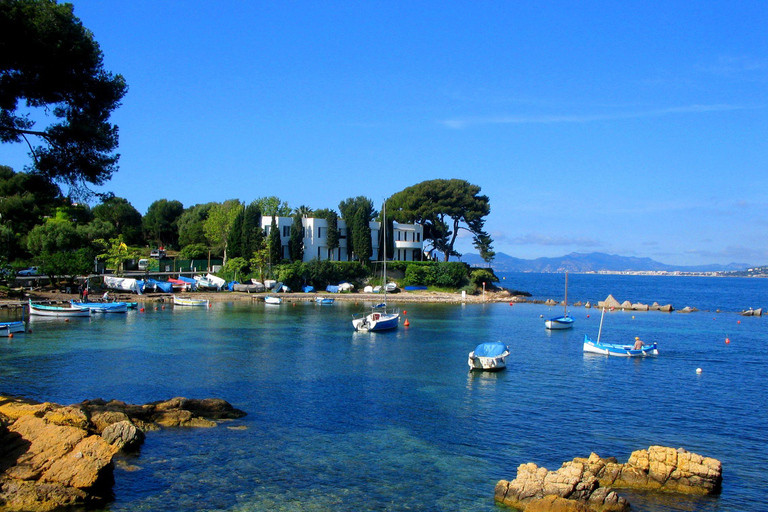 Walking tour Cannes, local produce tasting and Iles de Lérins (5h)