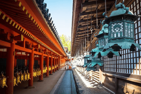 Kyoto & Nara: Fushimi Inari, Arashiyama & Sacred Deer Nara: UNESCO Ancient Capital, Great Buddha & Sacred Deer