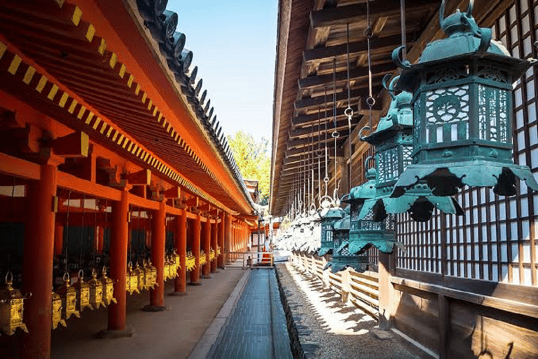 Kyoto & Nara: Fushimi Inari, Arashiyama & Sacred Deer Nara: UNESCO Ancient Capital, Great Buddha & Sacred Deer