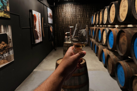 Tromsø: Local Whisky Tasting Experience
